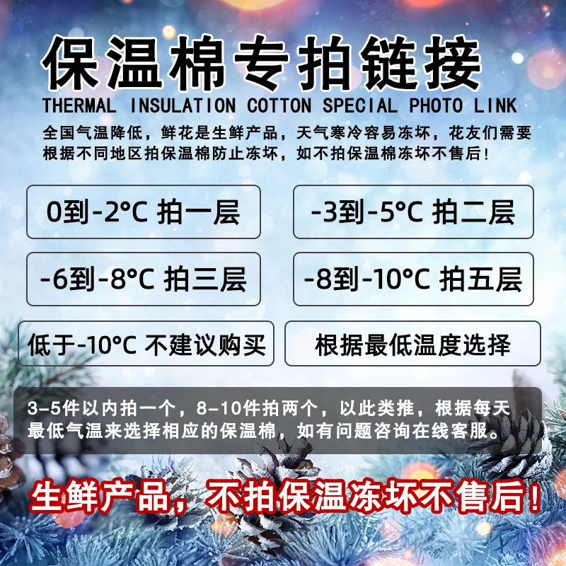【保温棉】零下地区需加拍保温棉不加保温棉冻坏不售后鲜花