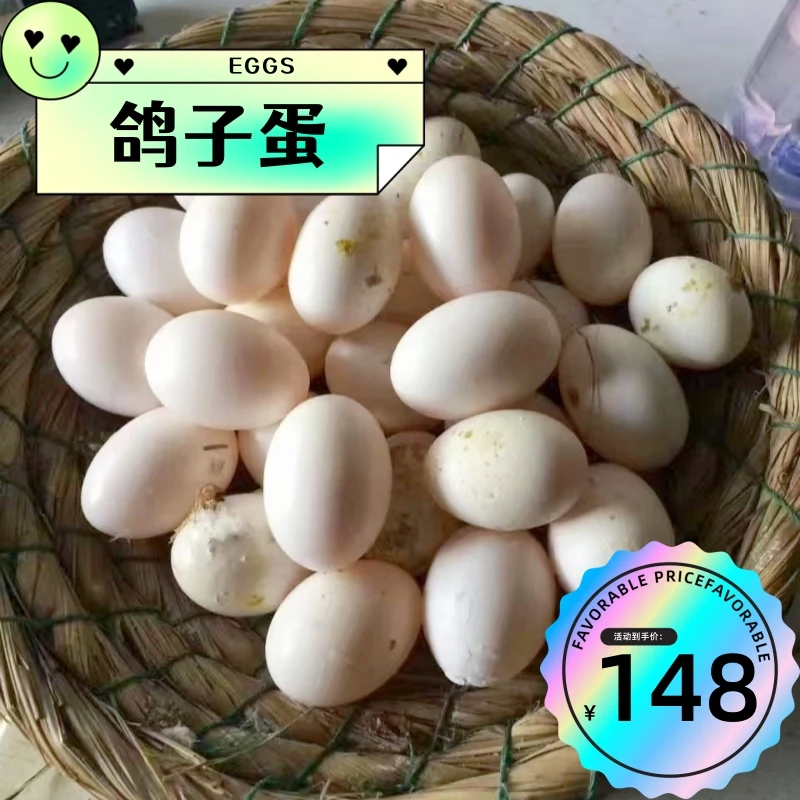 崇明本地鸽子蛋 谷饲老鸽下蛋 绿色生态 每天限量供应