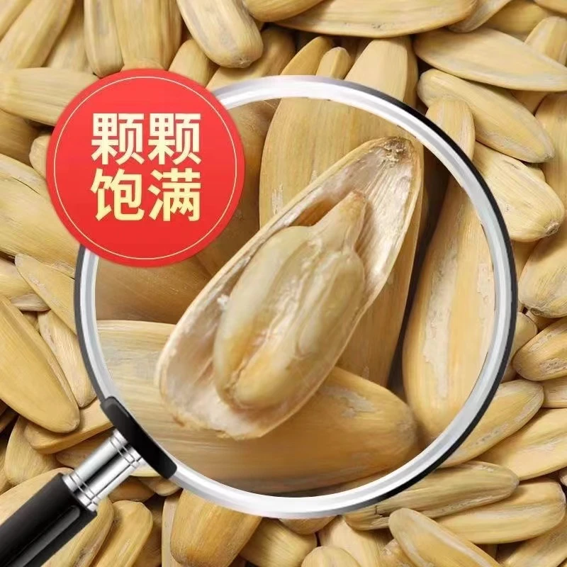 葵花籽水煮古法奶油鸡汤新货五香瓜子批发500g/2500g