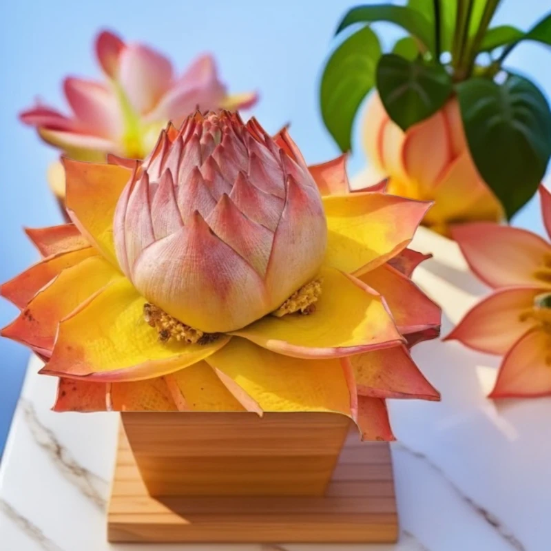 地涌红莲佛教圣花常年开花易栽易养