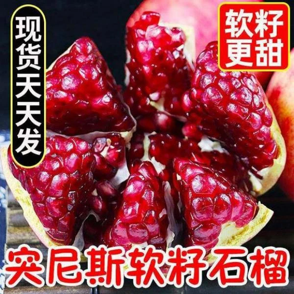 【纯甜爆汁】四川会理突尼斯软籽石榴新鲜水果现摘爆甜皮薄不吐籽