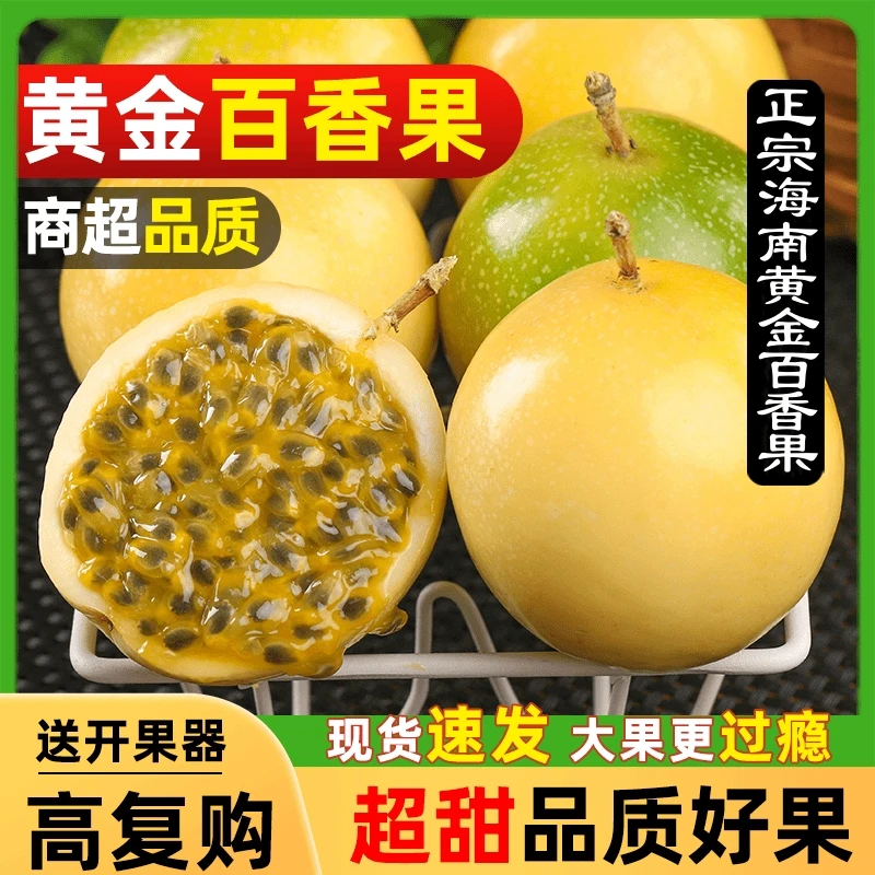 【年堇】海南钦蜜百香果9号黄金果新鲜现摘浓郁香甜百香果多汁好吃