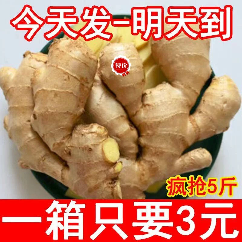 云南大姜鲜生姜老姜黄姜无残留新鲜现挖姜母月子姜出口级三斤包邮
