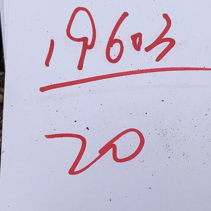 19603一组。