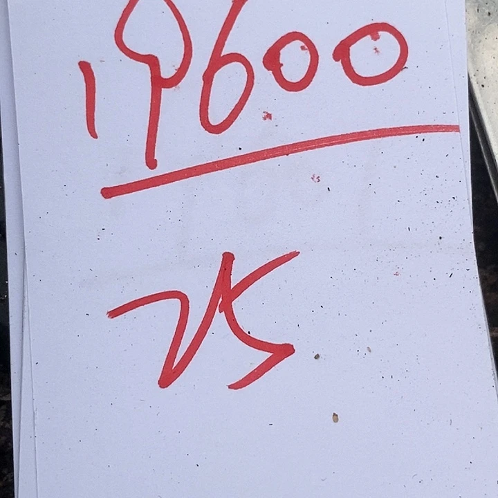 19600小红嘴一颗。
