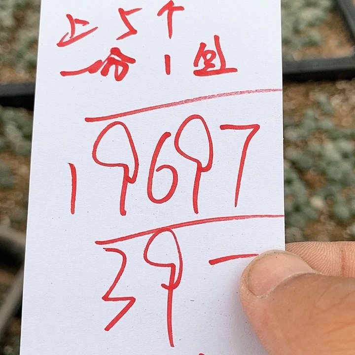 19697一组大灯有伤
