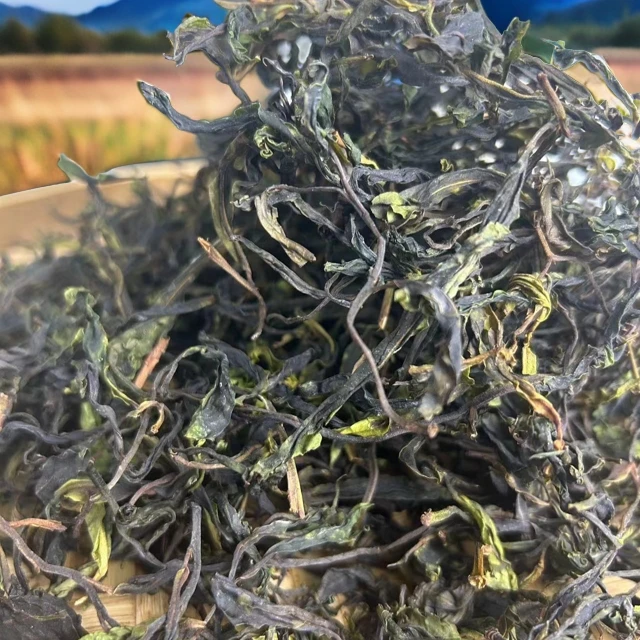 邦木利源【野生秘境生普】2024年/古树春秘境生普/散茶100克