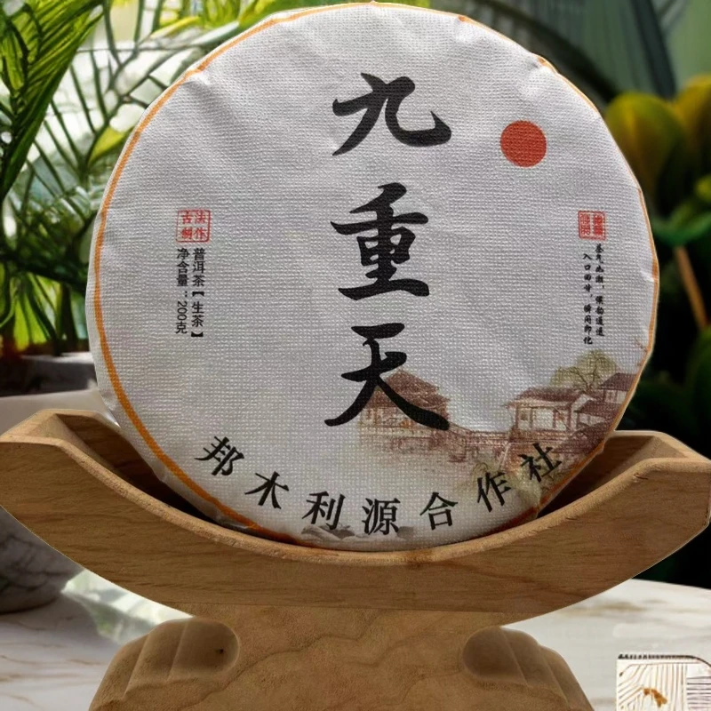 邦木利源【九重天】2024年/春/茶气如潮/ 候韵通透/爆香/饼茶200克