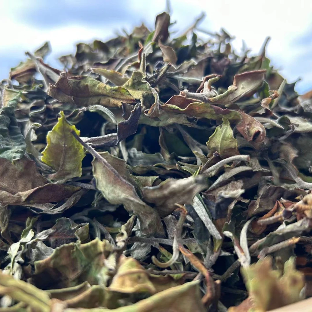 邦木利源【白茶】2023年/冬白/晾青白茶/散茶/200克