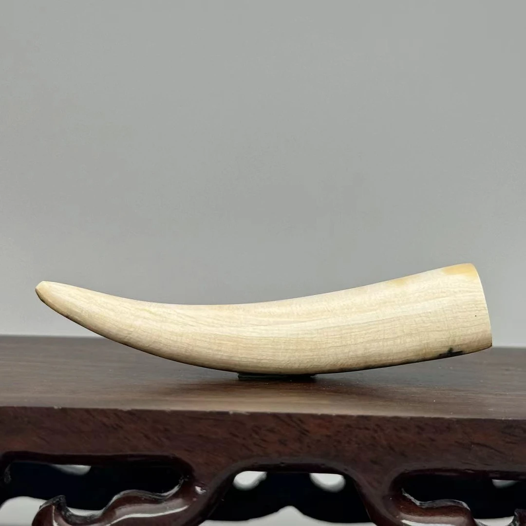 DEZHI/德志9.1g牙尖摆件天然猛犸牙T438
