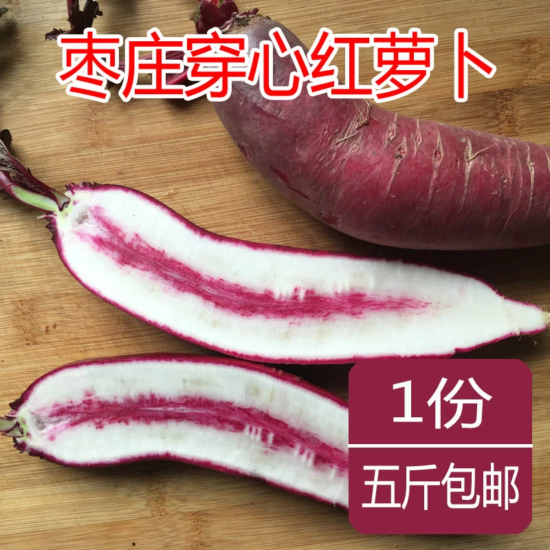 5斤装枣庄穿心红萝卜山东老家特产辛辣炖鸡肉包饺子红心红皮萝卜