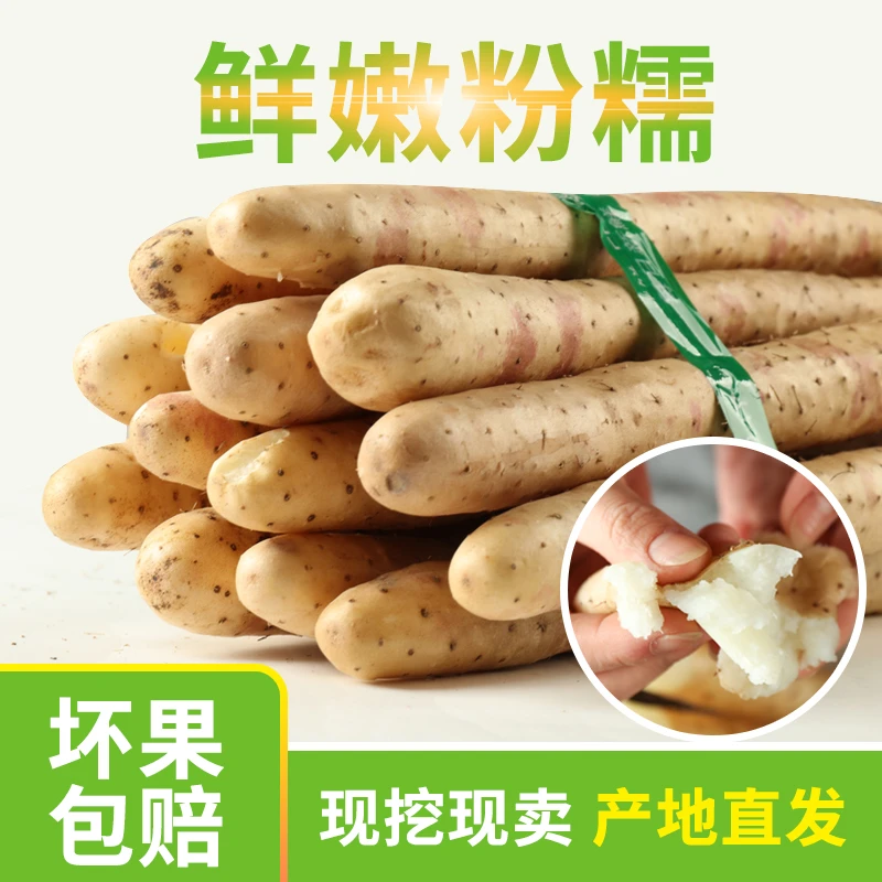 铁棍山药新鲜精品软糯香甜营养5斤装60-70厘米精品装