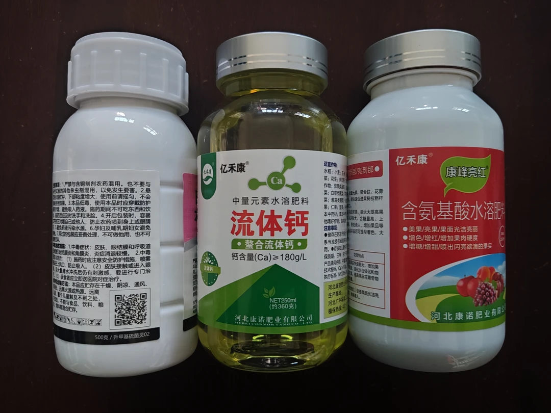 苹果除袋后黑红点上色增光果树叶面肥