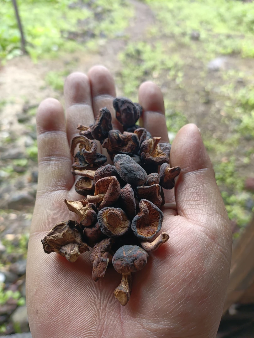 小张收山货【乡姑】250克食用菜叶