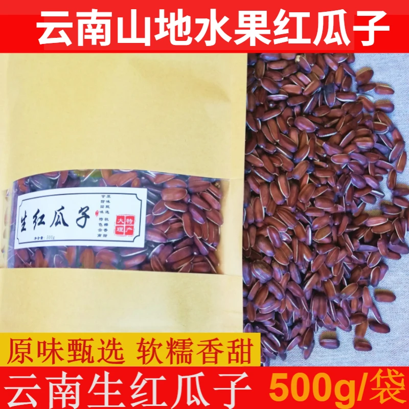 新货2025云南水果红瓜子香甜生红瓜子葵花籽原味大颗粒红瓜子精选
