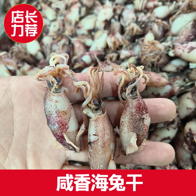 《小邱推荐》咸香 海兔 笔管鱼  小鱿鱼 250g 500g
