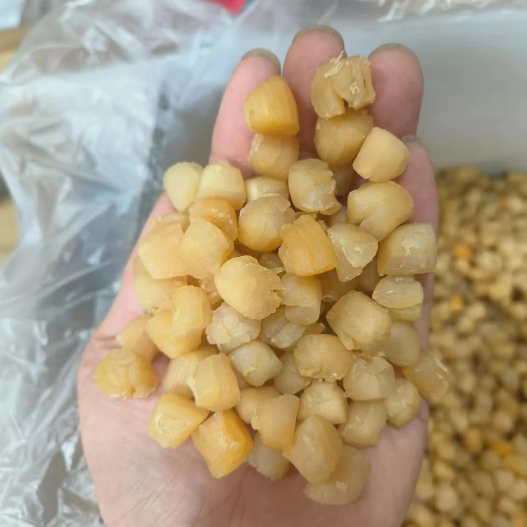 福建 干贝煲汤必备  淡干淡晒 250g/500g