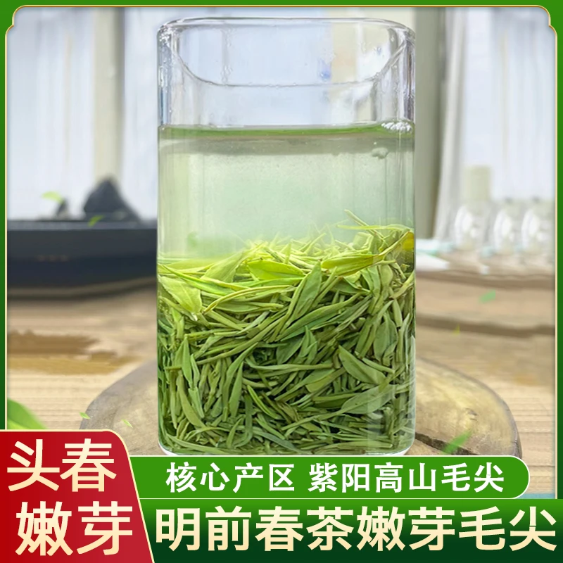 2024新茶叶明前特级春茶安康紫阳毛尖翠峰高级陕西绿茶浓香型