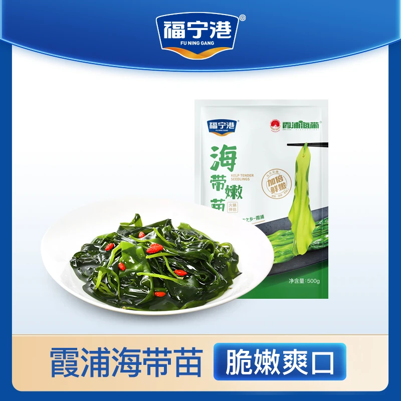 福宁港 霞浦海带苗新鲜海带芽盐渍嫩苗凉拌火锅食材鲜嫩美味500g