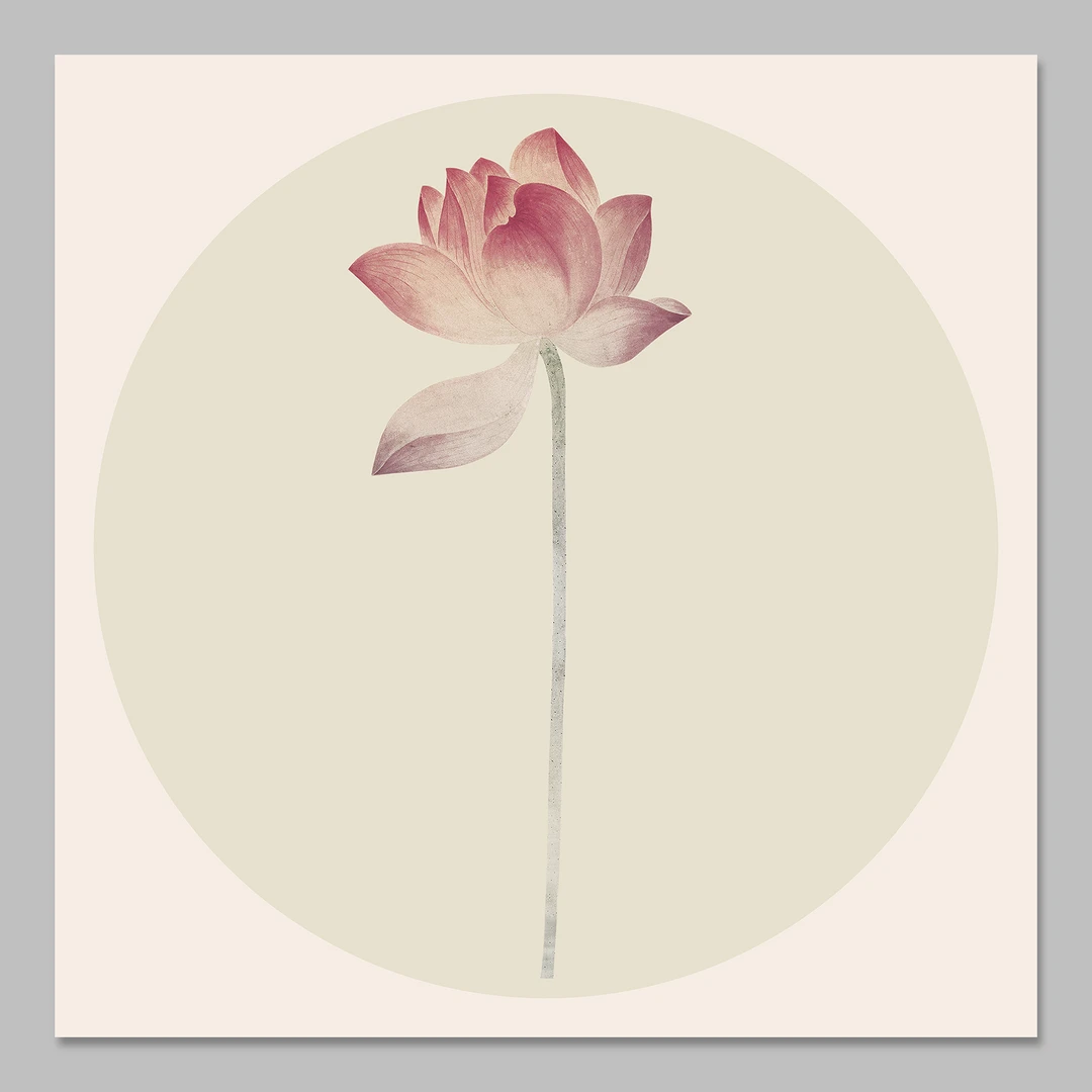 斗方系列 5张30x30cm 喜悦如莲书法纸小品纸微喷纸 有绢布非蜡染