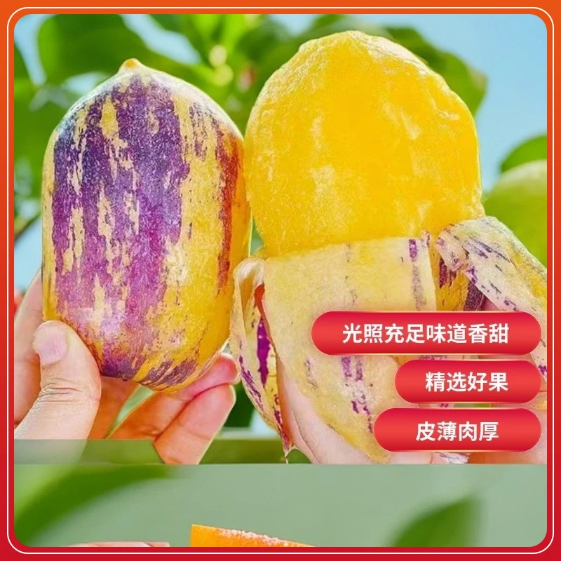 【2025新果】甘肃民勤人参果树上成熟人生果大果带箱5斤150＋皮薄