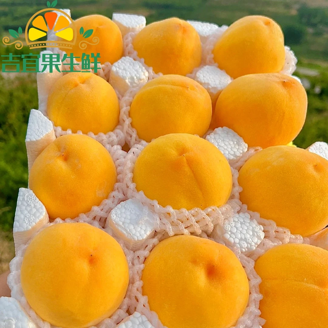 【产地直发】山东蒙阴黄桃新鲜水果黄金蜜桃黄毛桃脆甜多汁黄金蜜桃
