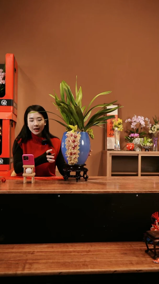 【闪购商品】好美 垂兰