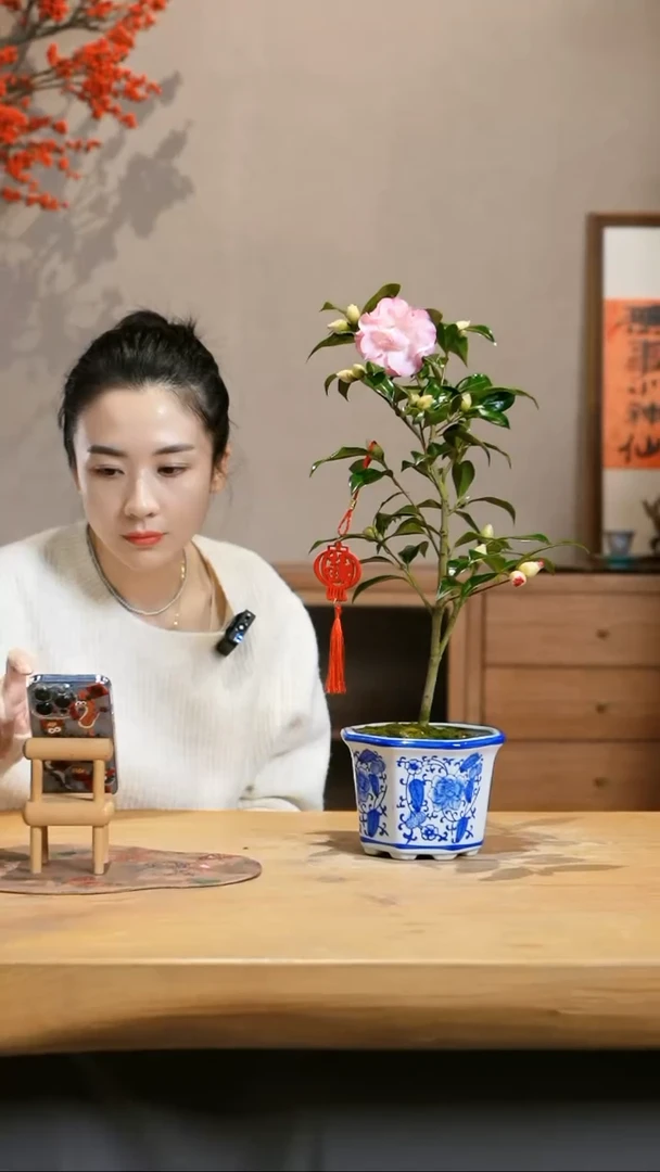 【闪购商品】彩色纽扣茶花