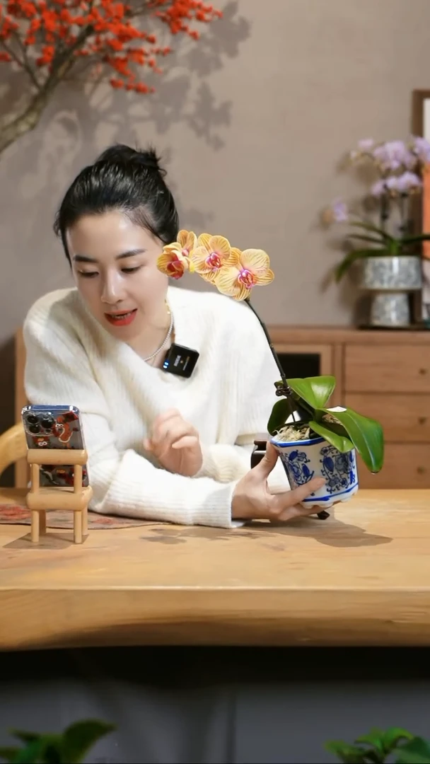 【闪购商品】芭比娃娃