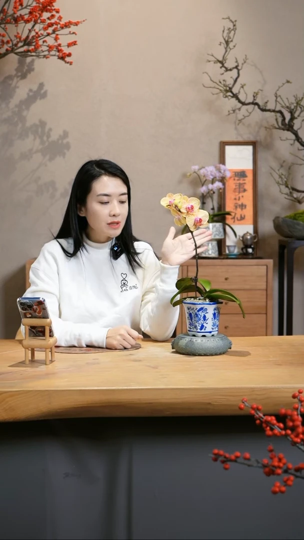 【闪购商品】芭比娃娃