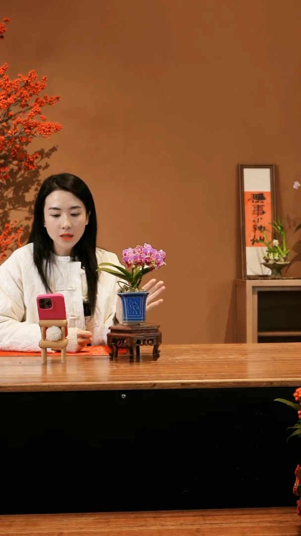 【闪购商品】小美人 蓝