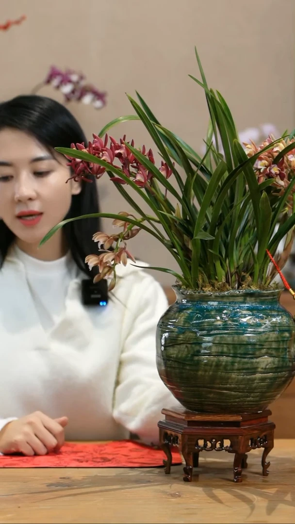 【闪购商品】红双喜 绿圆