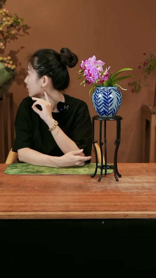 【闪购商品】盆景小美人 叶子