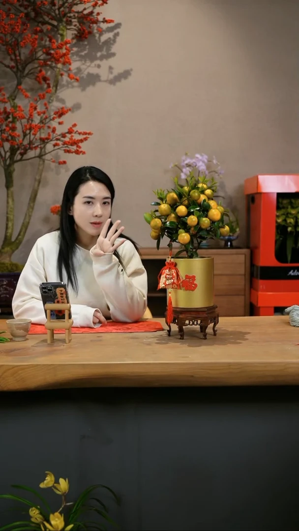 【闪购商品】小金桔 金