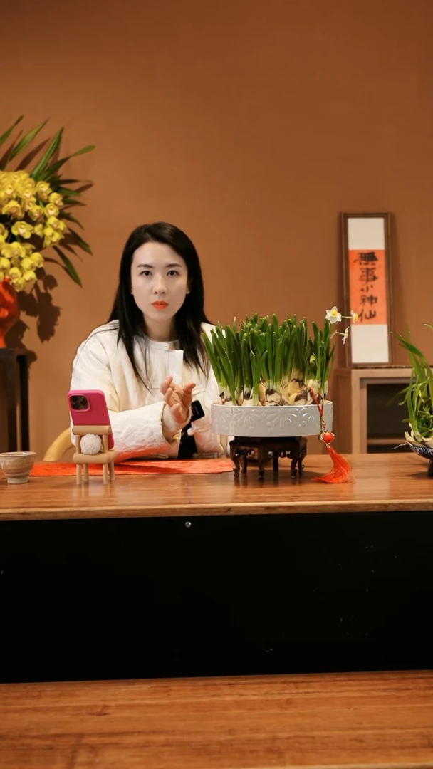 【闪购商品】水仙花 白