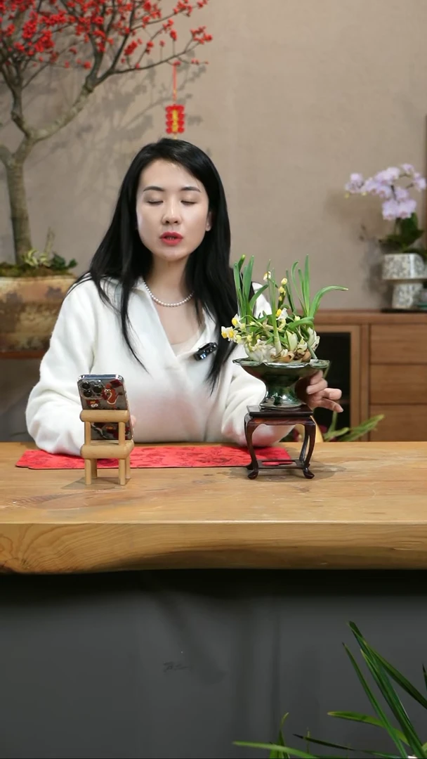 【闪购商品】凌波仙子 绿陶