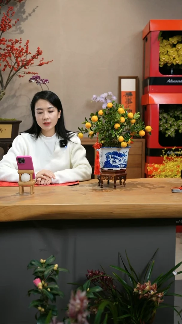 【闪购商品】小金桔 青花
