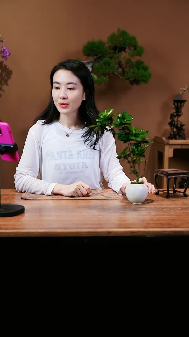 【闪购商品】栀子花