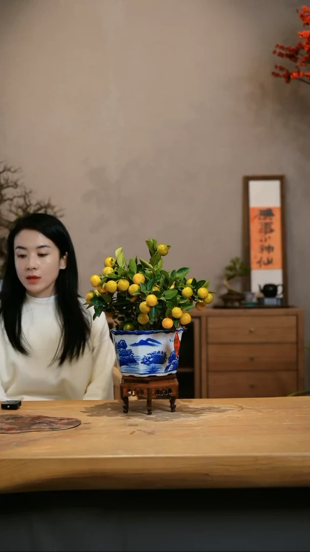 【闪购商品】小金桔