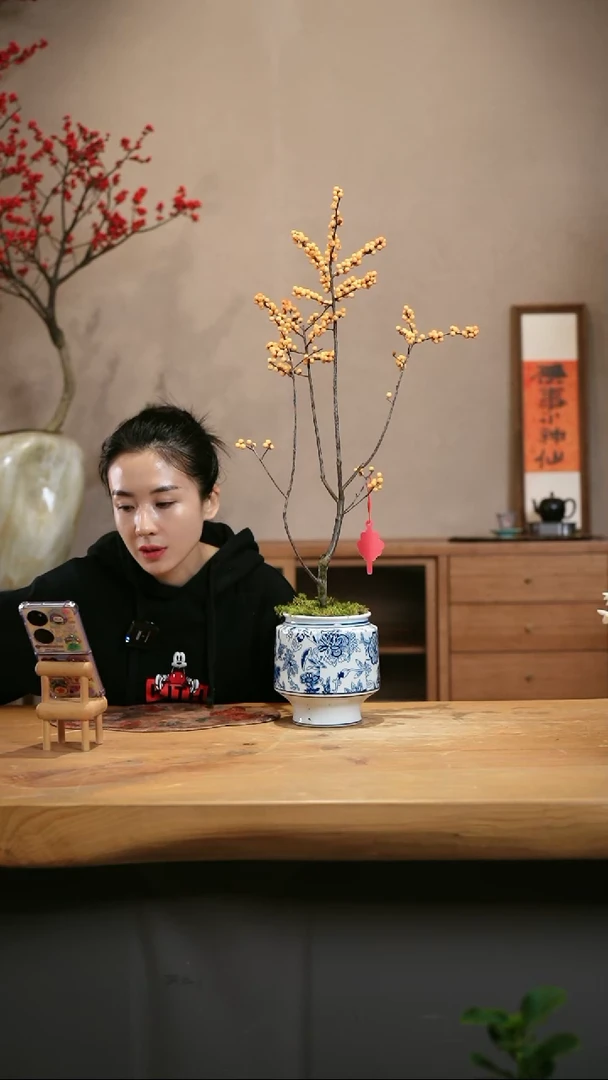 【闪购商品】冬黄1