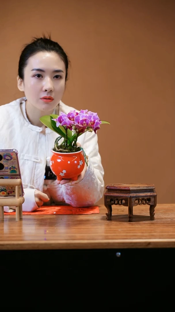 【闪购商品】小美人 红