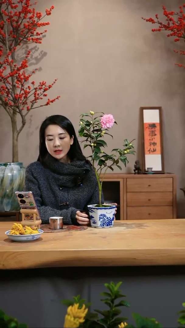 【闪购商品】彩色纽扣茶花