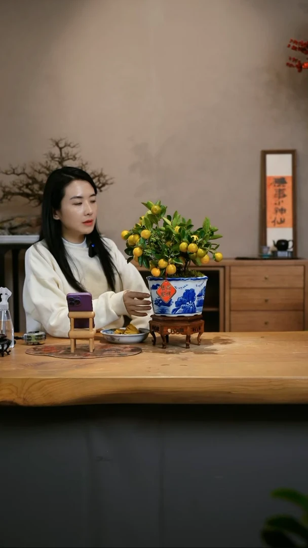 【闪购商品】小金桔