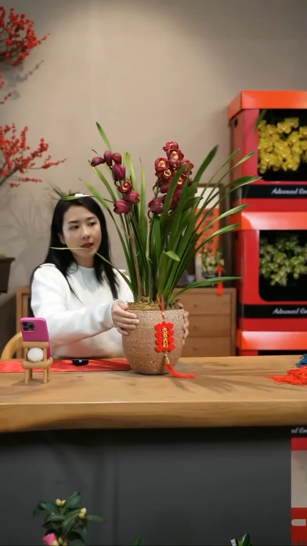【闪购商品】红袍 粗陶