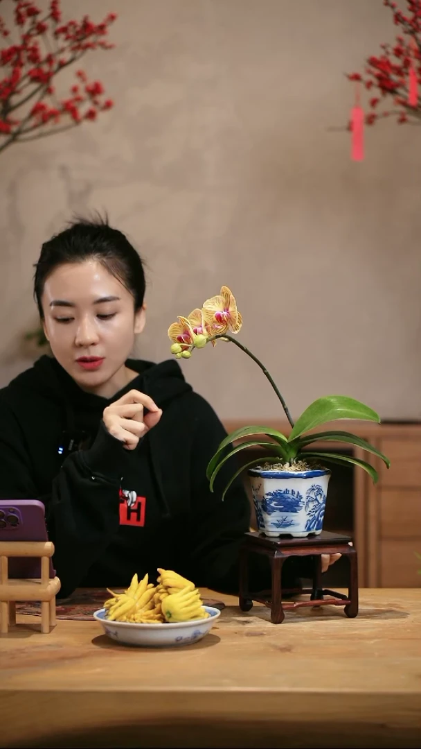 【闪购商品】芭比娃娃