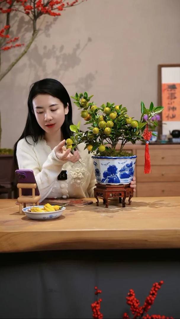 【闪购商品】小金桔