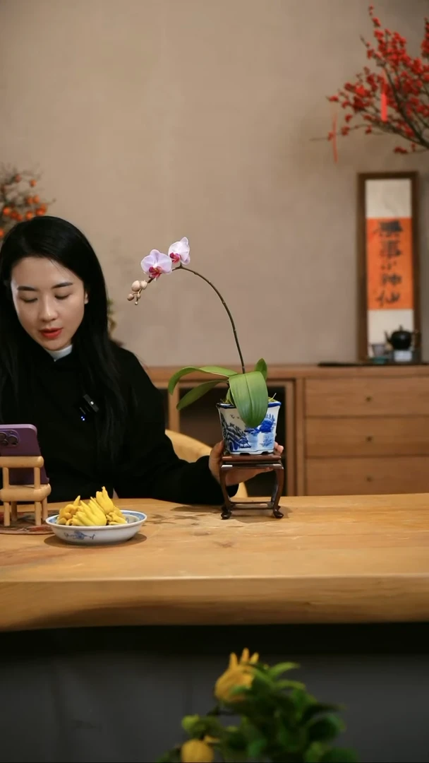 【闪购商品】蝴蝶兰  粉