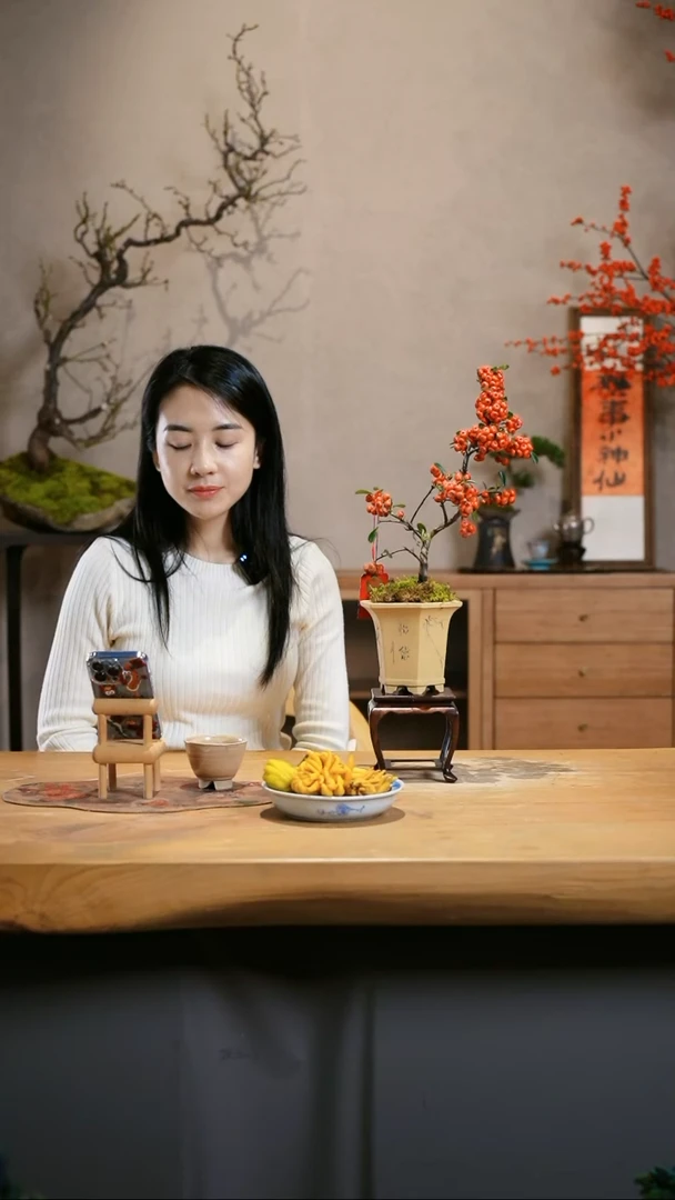 【闪购商品】小火棘 紫砂