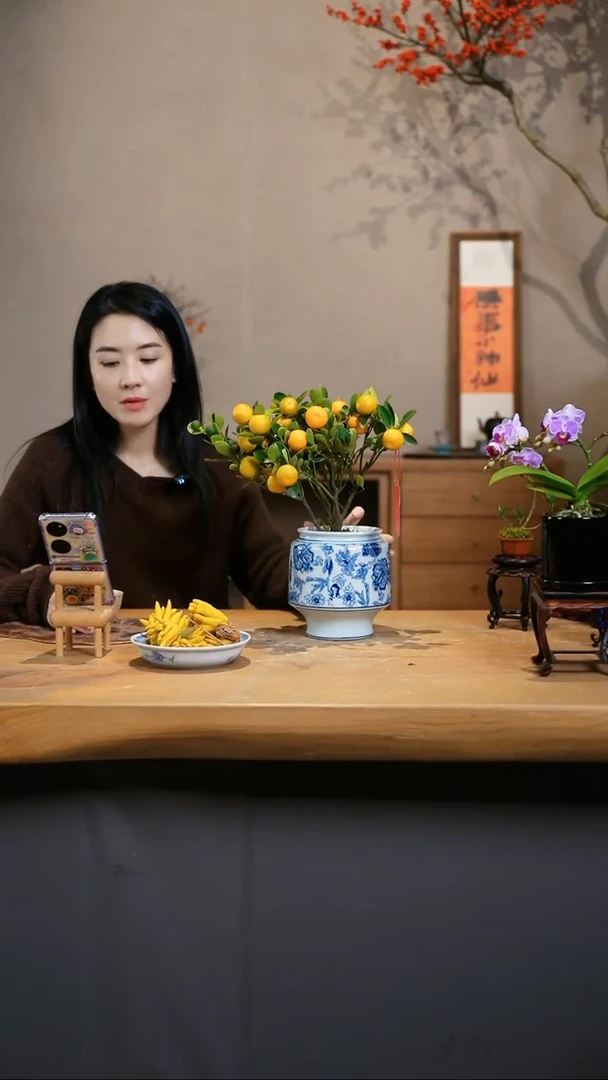 【闪购商品】小金桔 圆盆·