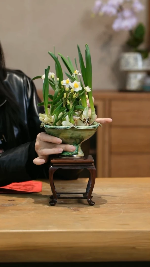 【闪购商品】凌波仙子 绿陶